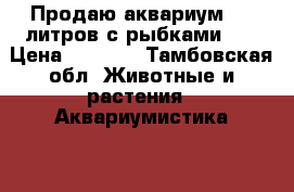 Продаю аквариум 100 литров,с рыбками... › Цена ­ 4 000 - Тамбовская обл. Животные и растения » Аквариумистика   . Тамбовская обл.